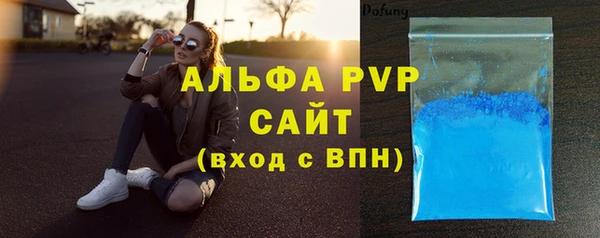 сатива Новокубанск