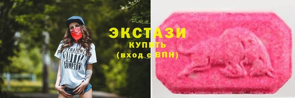 сатива Новокубанск