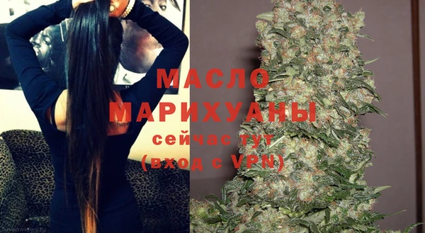 сатива Новокубанск