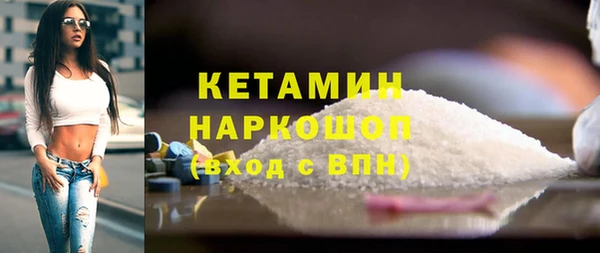 сатива Новокубанск