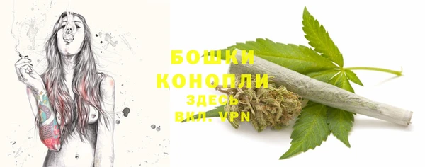 сатива Новокубанск