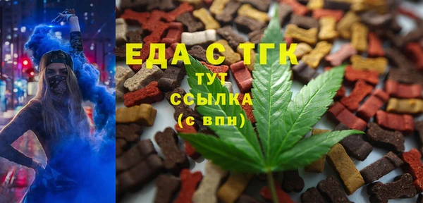 индика Горно-Алтайск