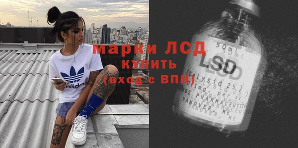 сатива Новокубанск