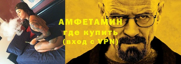 сатива Новокубанск