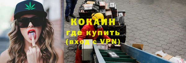 сатива Новокубанск