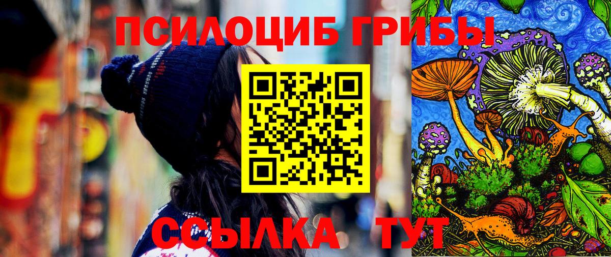 Галлюциногенные грибы прущие грибы  Вход с VPN  Галлюциногенные грибы Psilocybine cubensis  Северск 